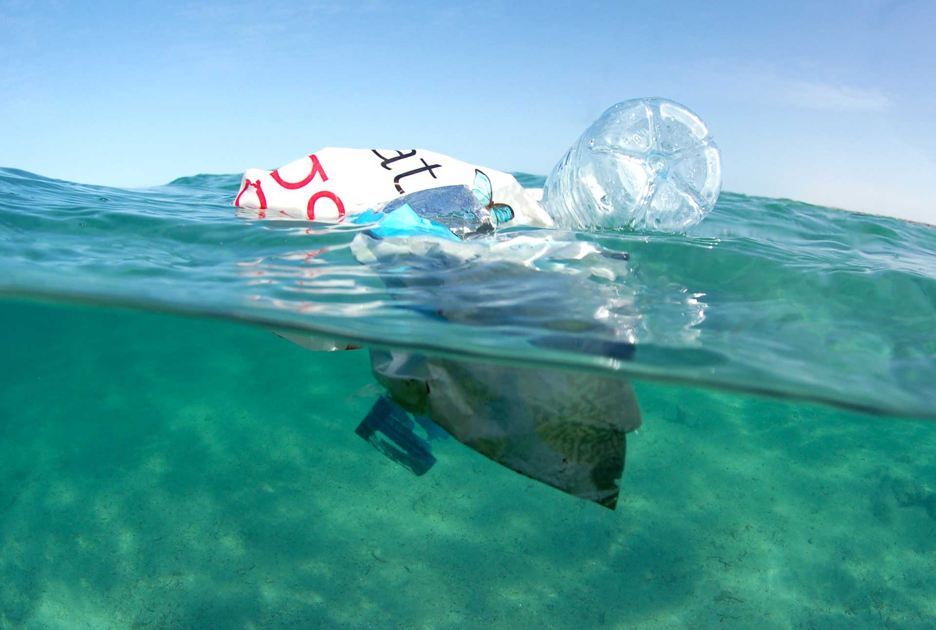 Fighting against plastic pollution 
